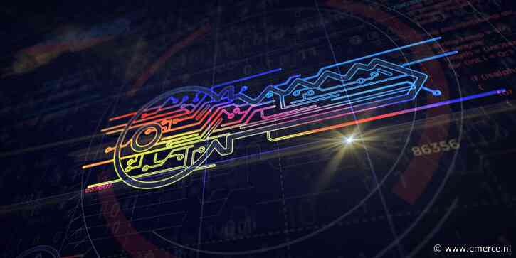 ‘Een op de drie cyberincidenten in 2023 was een ransomware-aanval’