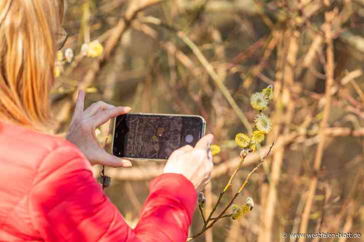 Digitale Helfer in der Natur