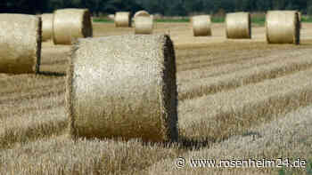 Landwirt (45) wird von Heuballen überrollt – Tochter und Bekannter müssen „live“ zusehen