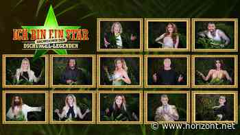 "Ich bin ein Star - Showdown der Dschungel-Legenden": Diese 13 Promis ziehen ins Sommer-Dschungelcamp