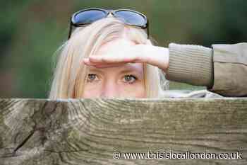 Can my neighbour look over my fence? All you need to know