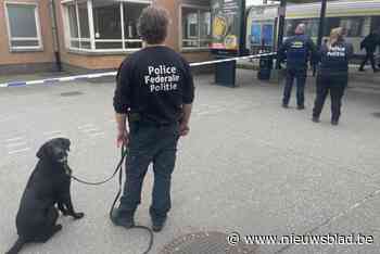 Marihuana en airsoftwapen gevonden bij controle aan station van Ieper