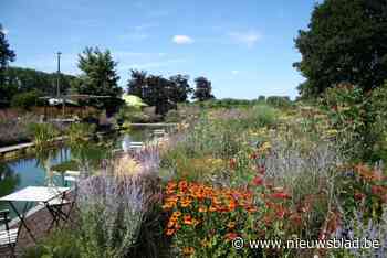 Van strak over romantisch tot ecologisch: Wase tuinen gooien poorten open
