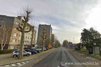 Via speciale routes bedient De Lijn toch halte Kleerroos in Herentals: “Alternatief gezocht en testritten uitgevoerd”