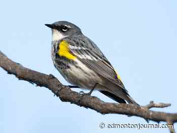 Critical habitat donated to Nature Conservancy of Canada in celebration of Migratory Bird Day