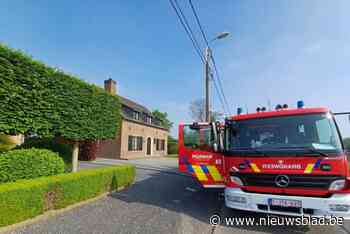 Brandweer kan voorkomen dat haagbrand overslaat op tuinhuis