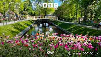 Brew with a view: Malmö, Sweden