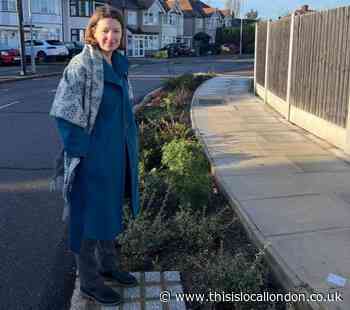 Redbridge ‘rain gardens’ could be answer to flash floods