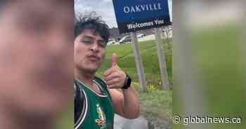 Kidney donor’s impulsive walk from Toronto to Hamilton spurred by need to stay fit