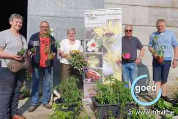 Tuinhier houdt ruildag: “Sommigen geven hun plantgoed ook gewoon weg om anderen blij te maken”