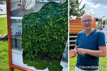 Politie voert onderzoek naar vernieling van fotopanelen openluchttentoonstelling: “Dit is een zinloze actie”