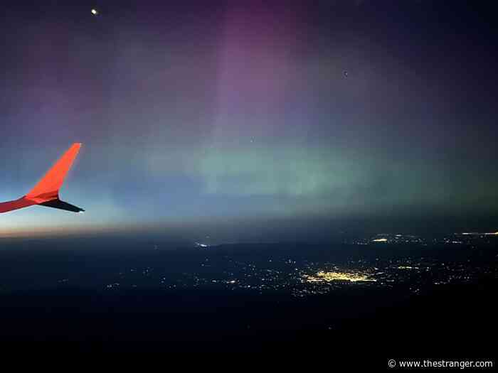 Slog AM: Three Bob Fergusons Running for Governor, Deadly Stabbing at Light Rail Station, Steve Buscemi Punched