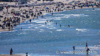 „Besorgniserregender“ Fund in der Ostsee: Giftiges Metall lagert sich seit Jahrzehnten ab