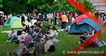 Bijenzwerm zorgt voor pakket-stress in Ooij • Radboud Universiteit bezet door demonstranten