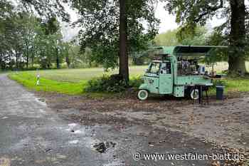 Walter Carotta will „Fahrradhafen“ mitten auf dem Ströhen eröffnen