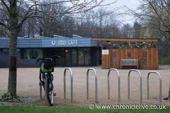 Council wants 'more control' back over Newcastle parks amid charity's money worries