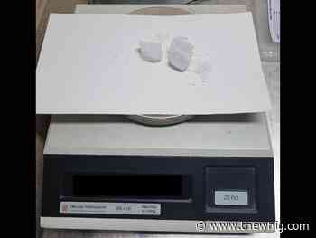 OPP lay charges after search warrant execution in Napanee