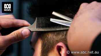 Human hair and unwanted wool could be turned into a vital component for lithium batteries, researchers say