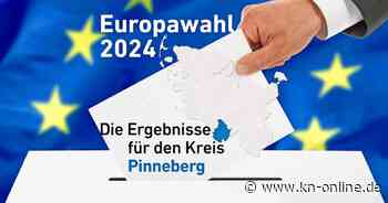Ergebnisse Europawahl 2024 Kreis Pinneberg: Welche Partei holt wie viele Stimmen?