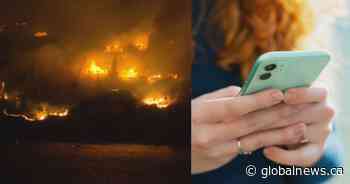 Be ready ‘for anything’ after wildfires hit telecom lines, official warns