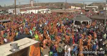 More than 3,000 ‘dinosaurs’ in Drumheller fail to break world record