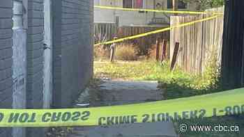 City emphasizes co-ordination and urgency in plan to combat violent crime spike