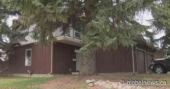 Calgary rental listing gets 900+ applications in less than 24 hours