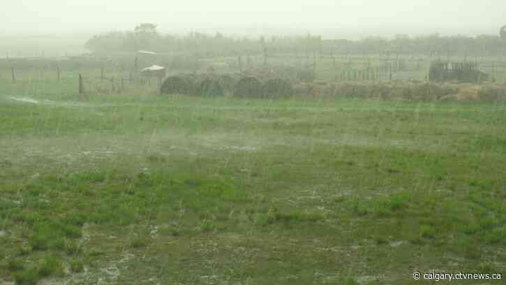 Showers, night rain, maybe even some thunderstorms – there's lots of rain possible in Calgary's forecast