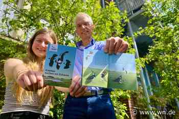 Der Gaukler der Lüfte ist in Not