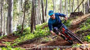 Biken im Harz: Die 10 schönsten Routen mit dem Mountainbike
