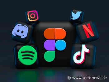 Von Null auf Held: Schritt-für-Schritt-Anleitung zum Aufbau der Social Media-Präsenz