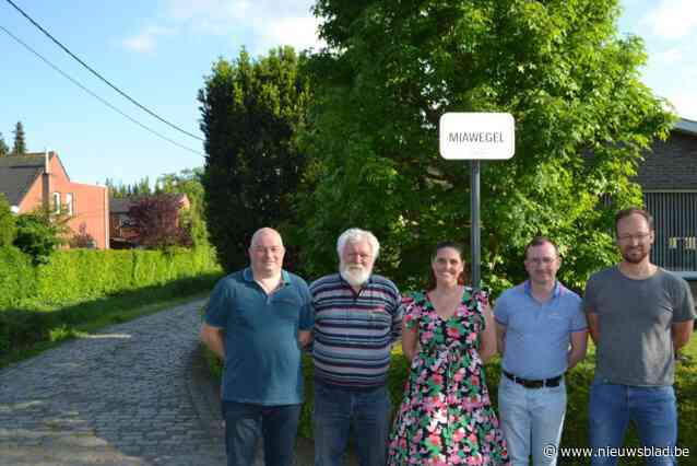Kermiscomité huldigt muzikanten Luc De Vos en Joris De Wildeman postuum met twee concerten: “Kermiszondag wordt een unieke muziekdag”
