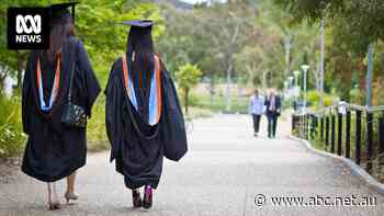 Practical measures for students on HECS, 'placement poverty' in budget but no sign of promised big picture solutions