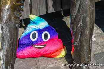 Çavaria roept op om ‘LGBTIQA+-inclusief’ te stemmen