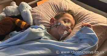Eight-year-old North East schoolboy left critically ill after catching 'mild dose' of chicken pox
