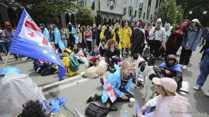 Georgian parliament approves divisive bill that sparked weeks of mass protests