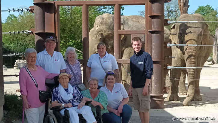 Einfach in den Tierpark – Ein letzter Wunsch für Monika (80), der unter die Haut geht