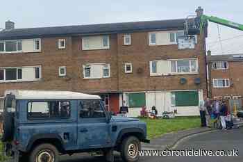 Vera cast and crew take over Blyth housing estate to film ITV drama's final series