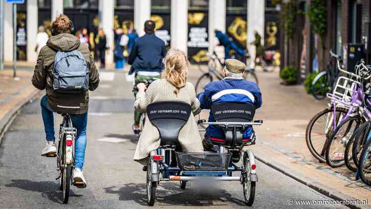 Man (79) op duofiets belandt in het water en komt om het leven