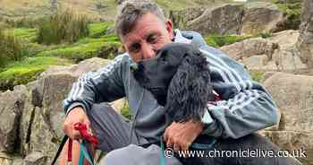 The adorable moment cocker spaniel Wally is reunited with his owner at Newcastle Airport