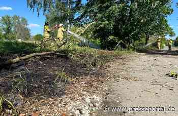 FW Dresden: Informationen zum Einsatzgeschehen der Feuerwehr Dresden am 14. Mai 2024