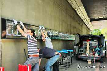 Meterslang lichtkunstwerk onder brug E314 krijgt vorm