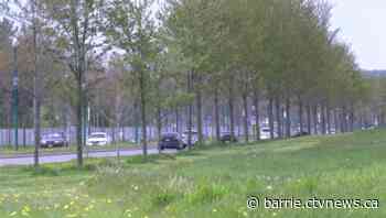 Proposed multi-purpose field along Barrie's waterfront sparks strong reaction