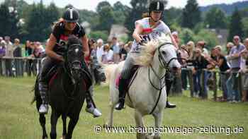 Diese beliebte Tradition im Harz begeistert Pferde-Fans