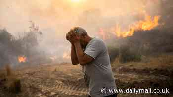 Summer of 2023 was the hottest in 2,000 YEARS - and scientists say climate change is to blame