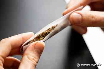 Wacklige Grundlage für Warnung vor Cannabis im Straßenverkehr