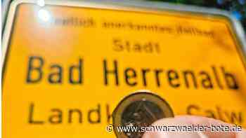 Bad Herrenalber Etat: Und die Verschuldung nimmt weiter zu