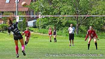 Faustball-Bundesliga: Wenig Fans, aber volle Punkte beim TSV Dennach