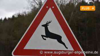 Wo zieht man die Grenze bei der Rettung von Wildtieren?