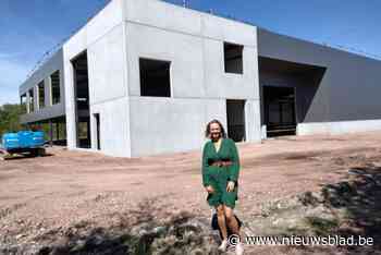 De Gele Flamingo bouwt nieuw magazijn in Rijkevorsel : “Dubbel zo groot als loods die we nu gebruiken”